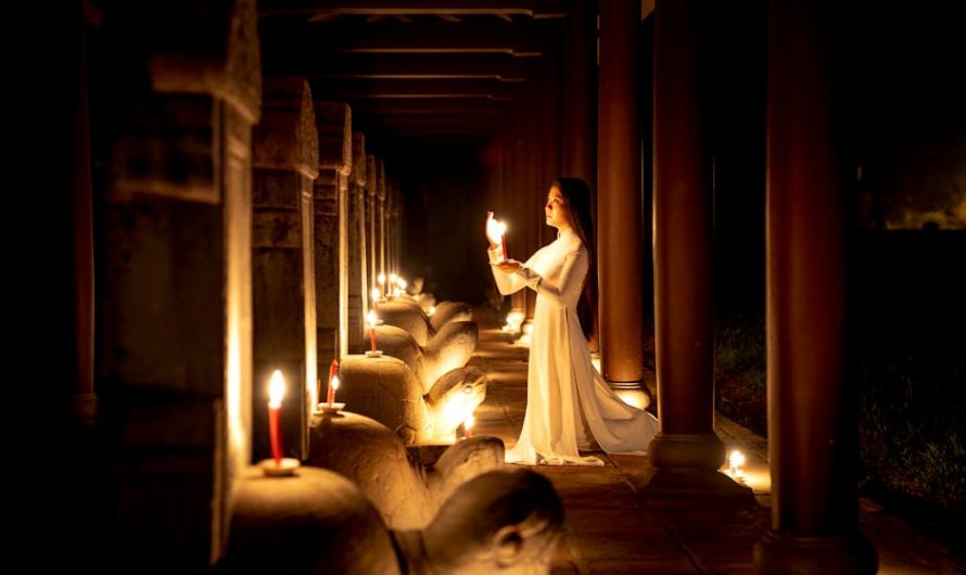 Внесение диплома в реестр цена